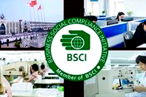 bsic